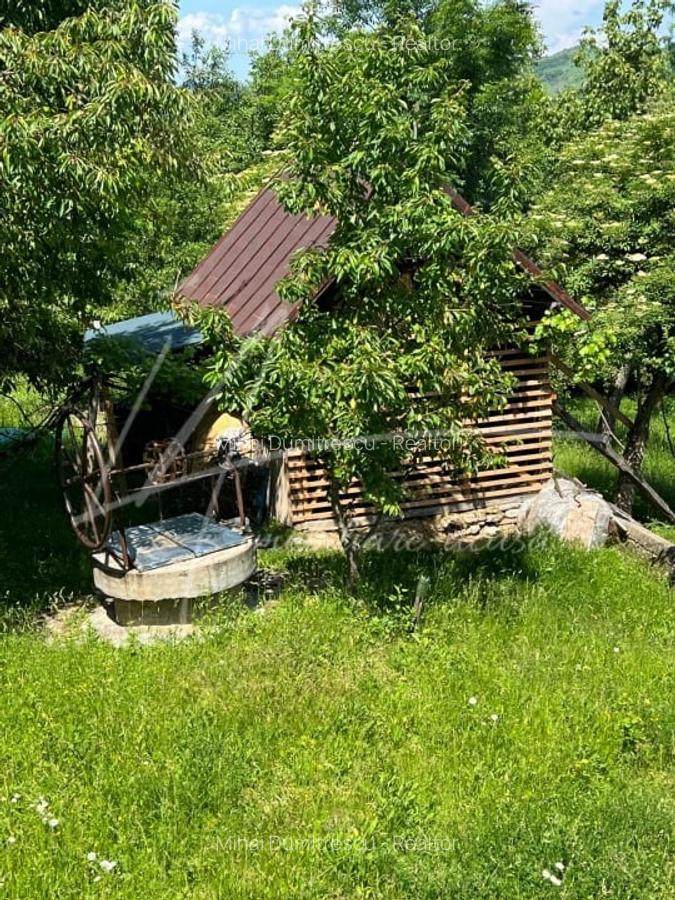 Teren intravilan de 1740 mp cu constructie in Provita de Sus-PH. Casa gratis! - 11