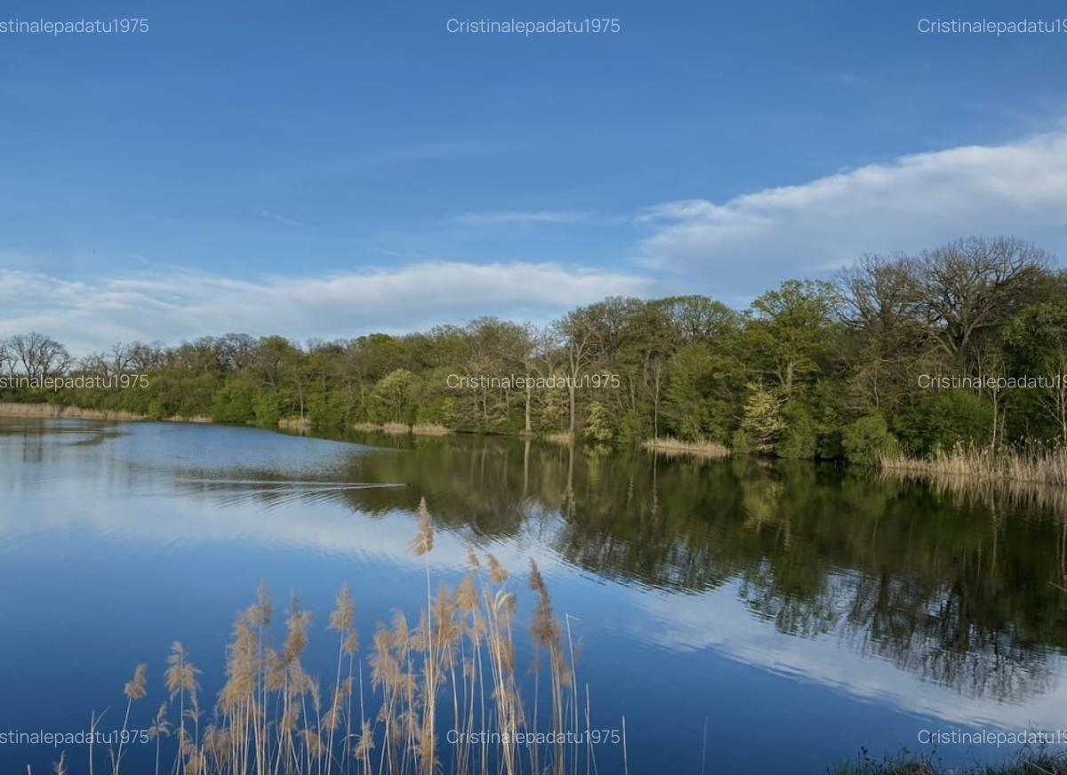 Teren la lac centru Corbeanca, vedere lac si padure, toate utilitatile - 14