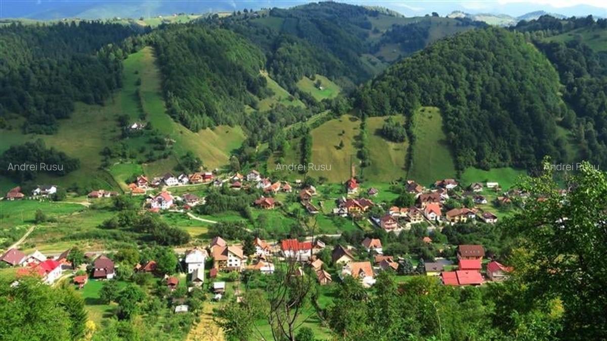 Tur LIVE!Casa cu arhitectura traditionala, curte spatioasa,foisor,Rucar-Bran - 21