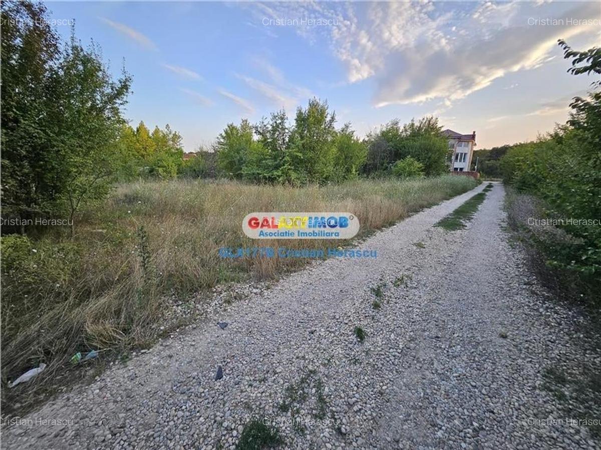 Buftea Flamanzeni 843 mp Str Independentei - 12