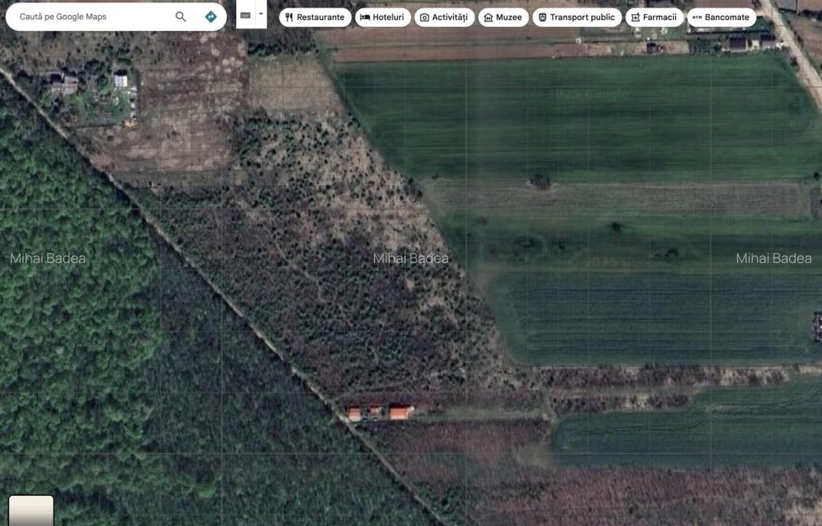 `Teren cu dubla deschidere, langa padure, Snagov - Strada Parcului - 6