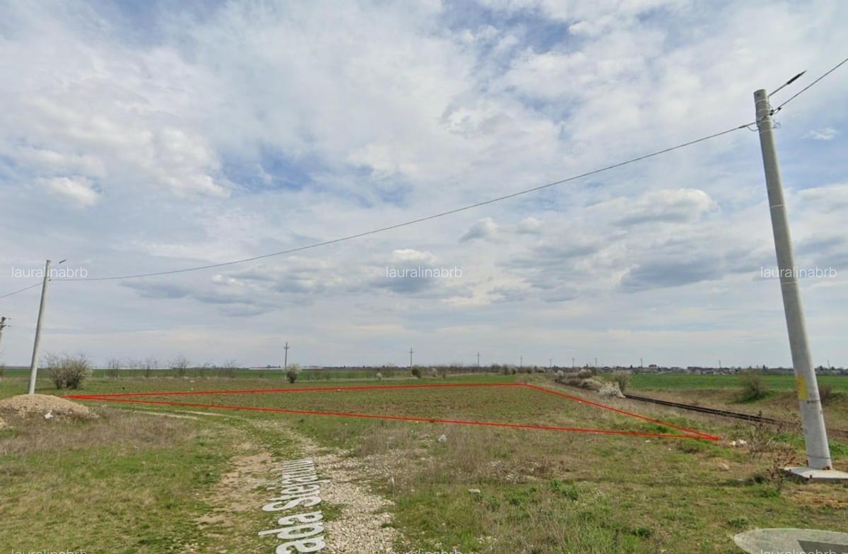Vand teren Tanganu, Cernica, intravilan 29.500 Euro - 1