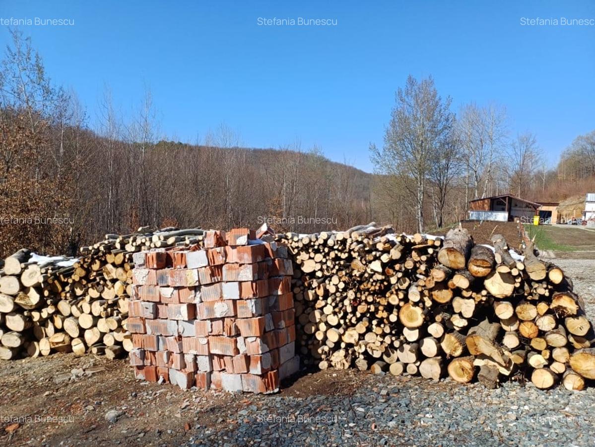 Teren de vanzare 1500 mp Cisnadioara - 10