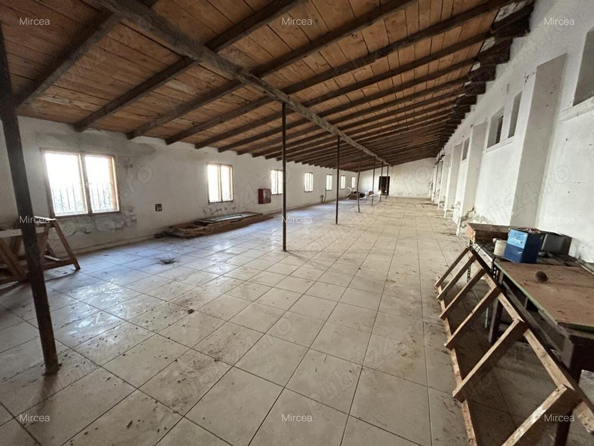 Vand teren intravilan,zona industriala,st.16,8 ha. + 8 ha.agricol,in Sanicolau Mare, la DN6,la sosea - 18