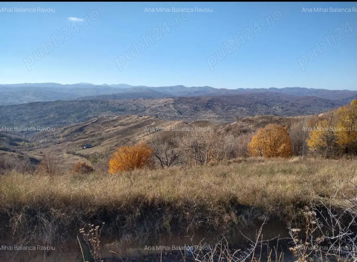 2 Casa padure + 4800 teren langa Focsani - 5