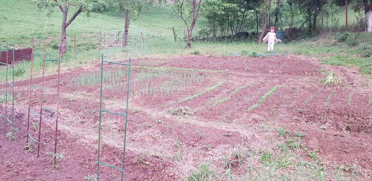 Teren 800 mp langa centru, in Resita - 2 Teren 800 mp langa centru, in Resita - 2