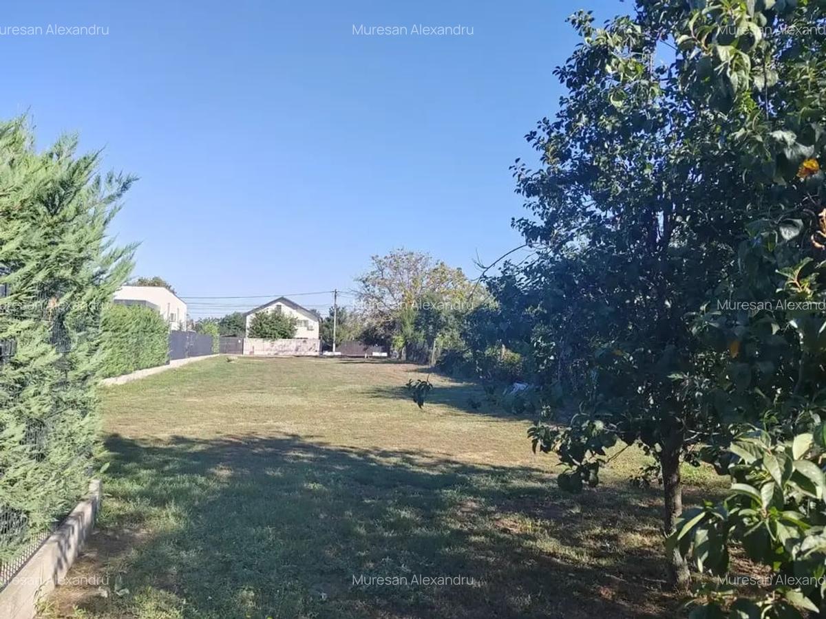 Teren 975mp Corbeanca Zona Centrala I Toate utilitatile - 2