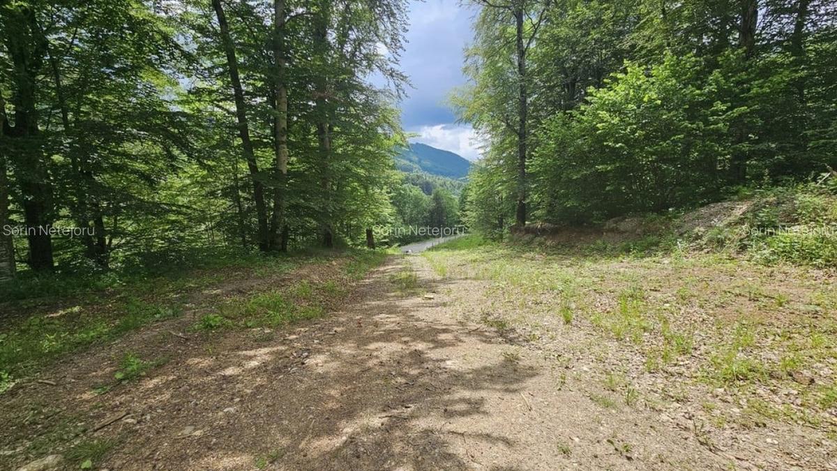 Teren Construcții intravilan de 7546 mp, în Valea Doftanei - 8
