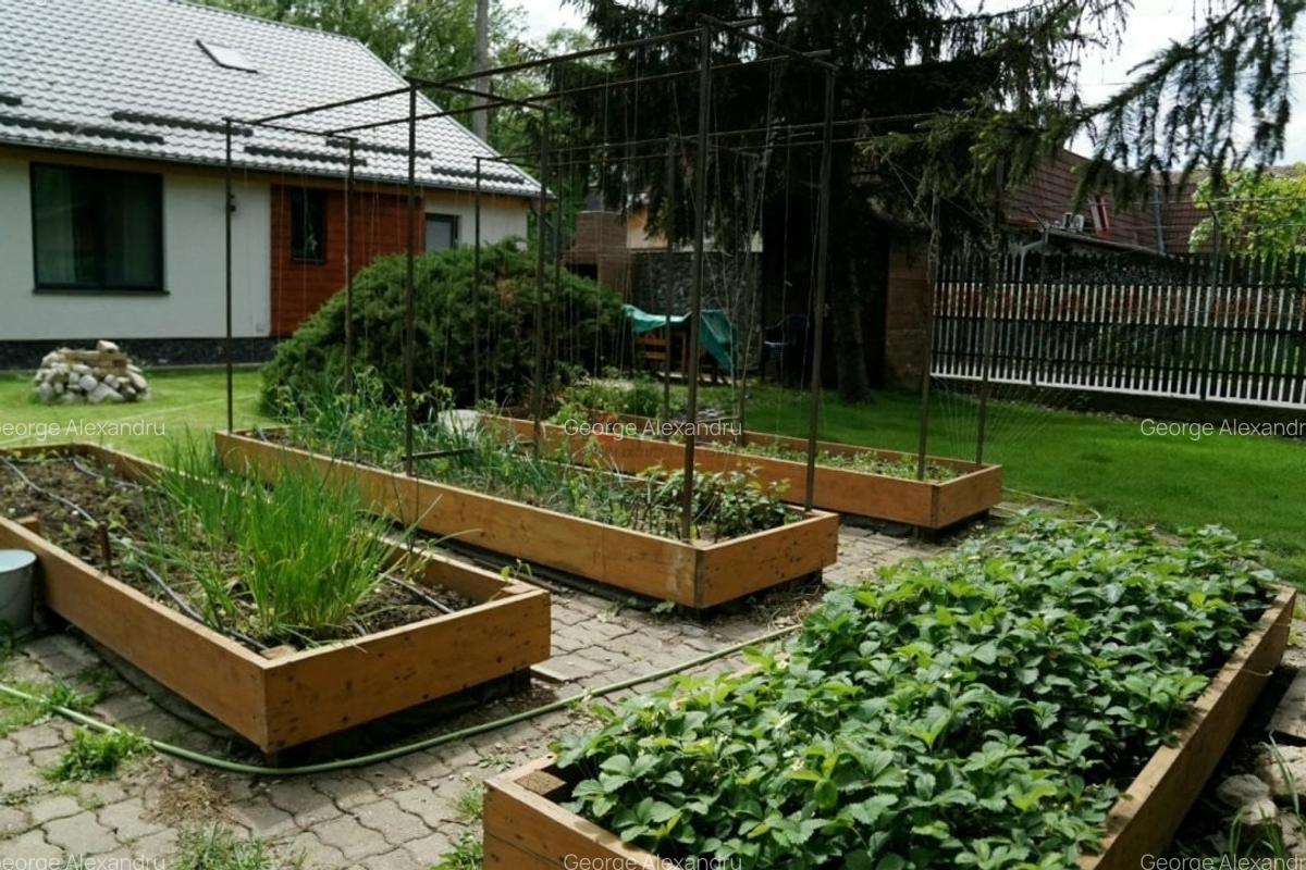 Vila 5 Camere Snagov - 5