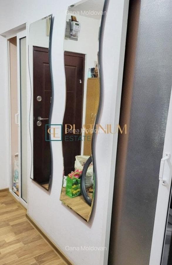 Apartament cu 3 camere semidecomandat, mobilat în Dacia - 5