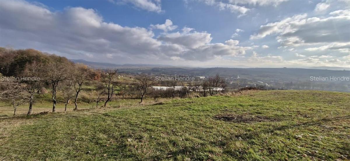 RECO Teren intravilan in Borod, Bihor 1750mp - 16