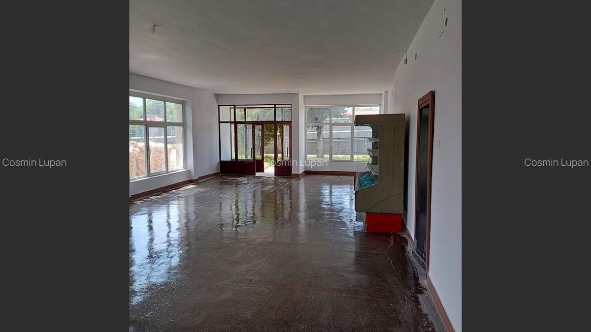 Spațiu comercial generos, la drum principal, localitatea Daia - 6
