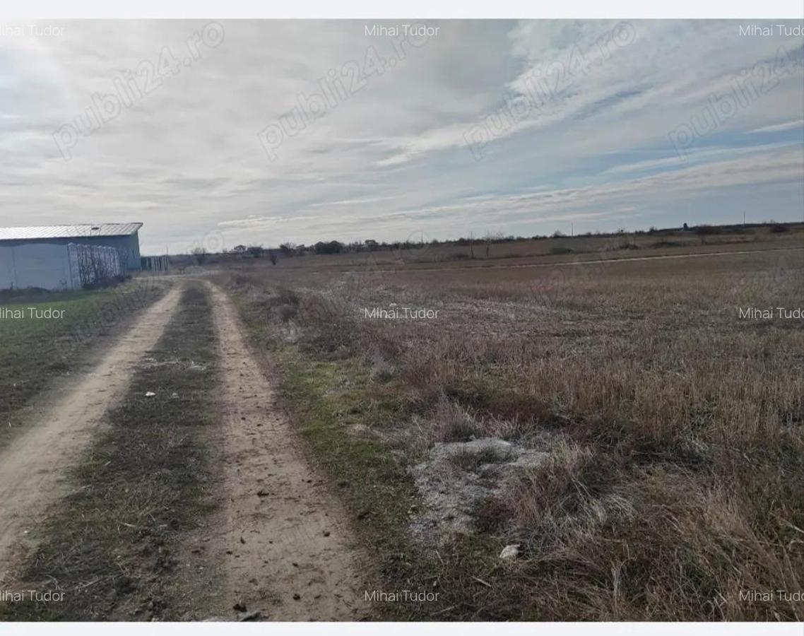 Teren de vanzare intravilan - 3