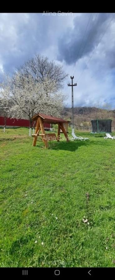 Casa  Asau + 4800 teren - 19
