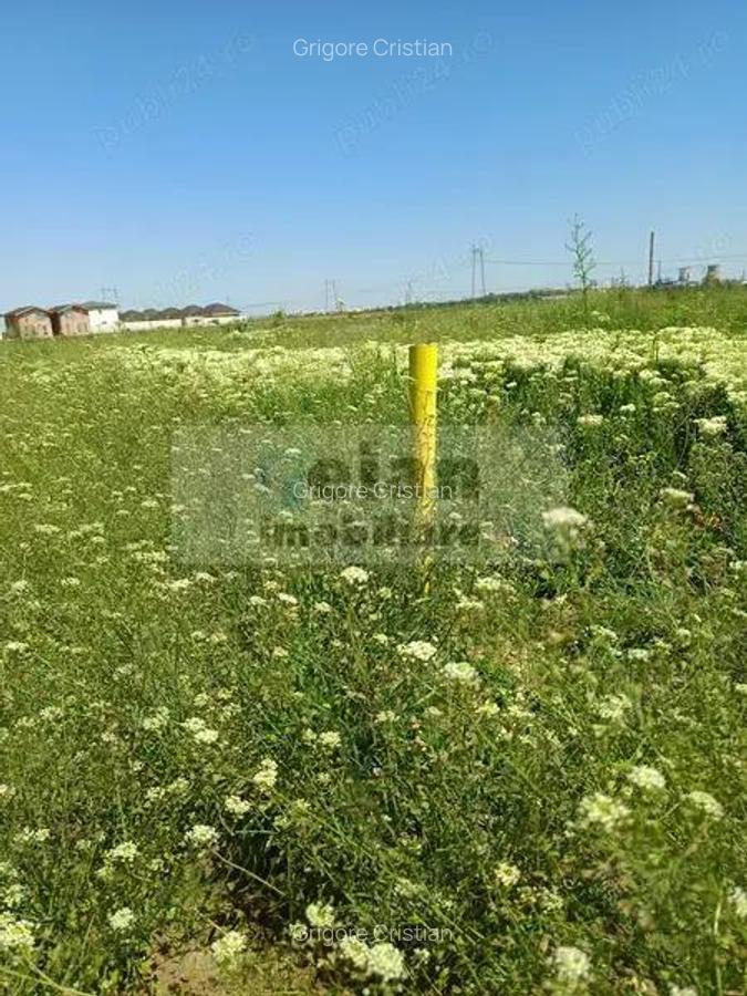 Domnesti - Str Cetinei, 718 Mp Intravilan, Deschidere 28, Utilitati - 7