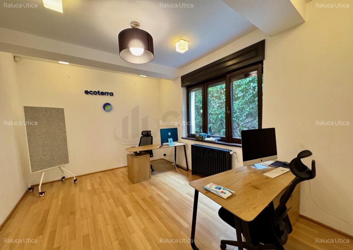 Vila superba 6 camere adiacent Calea Calarasilor - 5