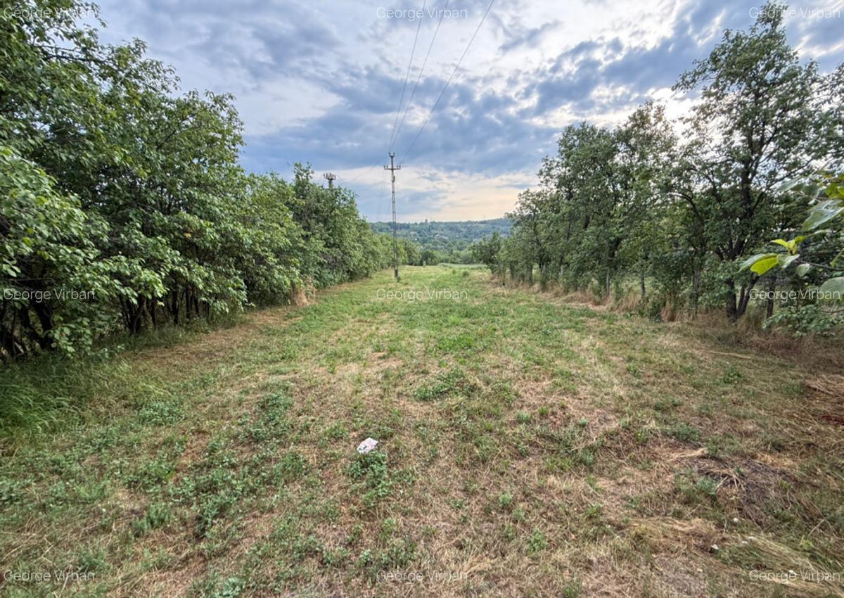 Teren intravilan 3600 m2 Drajna, Prahova - 2