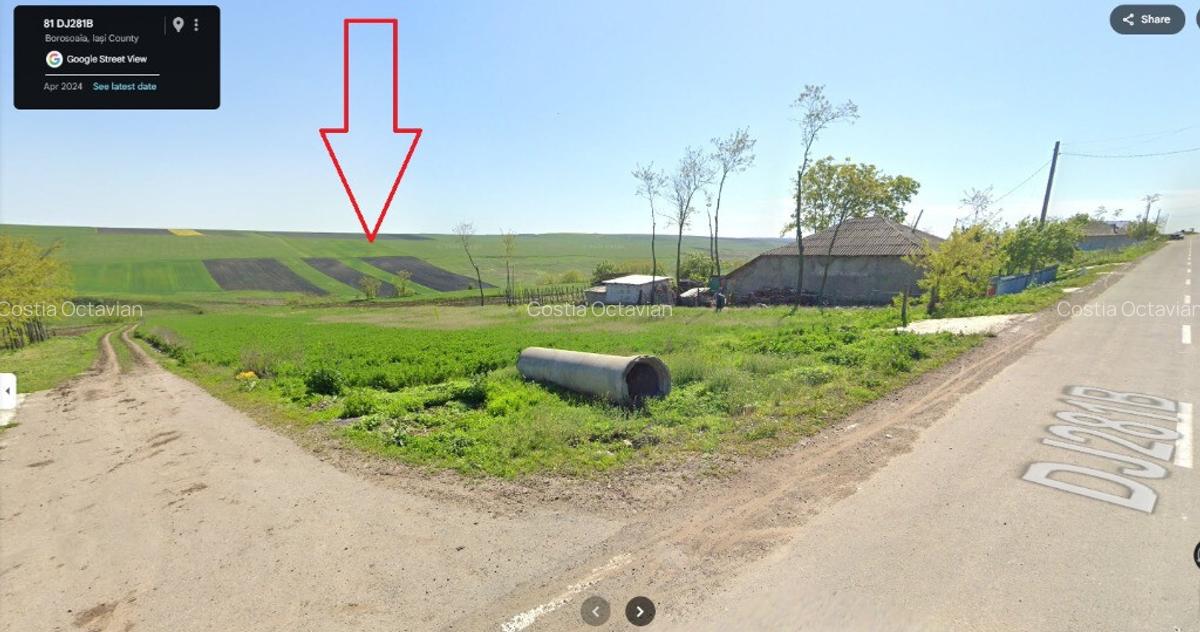 Persoana fizica - teren extravilan agricol Sipote, Jud. Iasi, 46500 mp - 2
