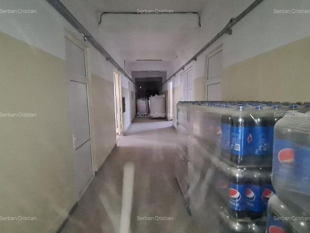 Drumul Intre Tarlale spatiu productie 1350 mp - 13