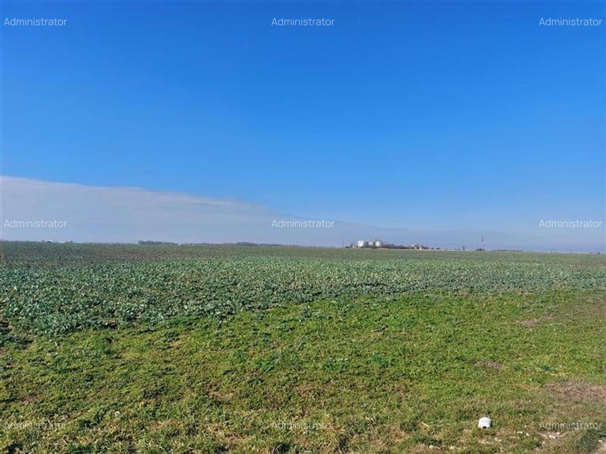 Teren arabil, zona Turnu - 4