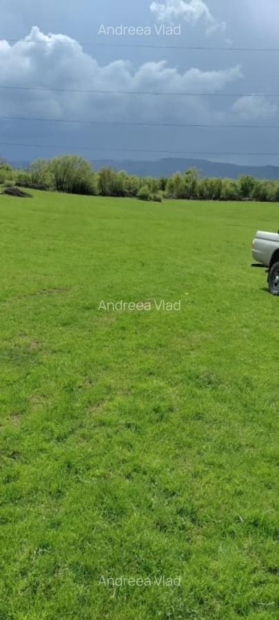 Teren extravilan 2.500 mp - Cisnadie - ideal pentru dezvoltare - Parcelabil - 1
