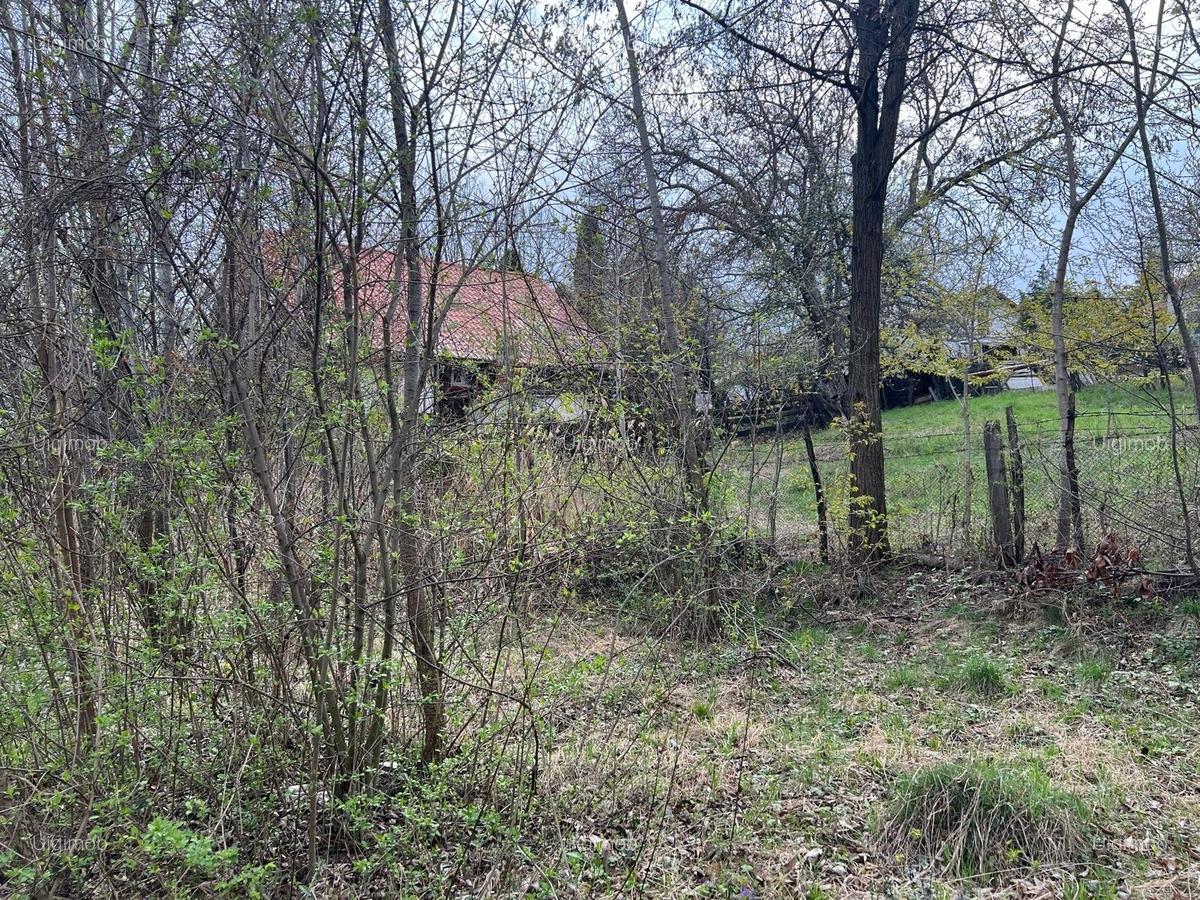 Breaza - str.Plaiului, Coasta Berzei nr.54, teren 1400 mp - 2