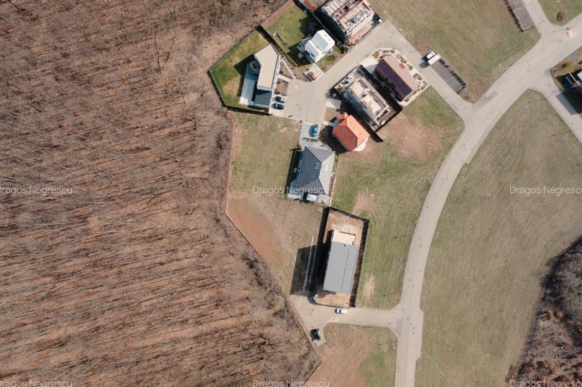 Teren de vis în Dumbrava Vlăsiei – 1290 mp, la marginea pădurii mature - 6