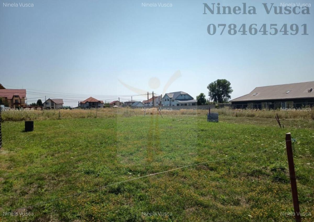 OFERTA!! TEREN INTRAVILAN ANINOASA-DAMBOVITA - 2