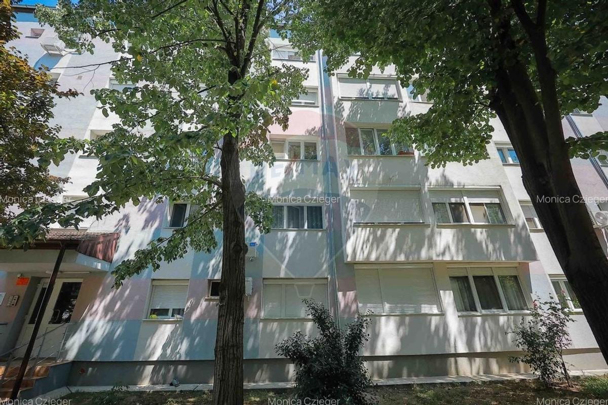 Apartament cu 3 camere semidecomandat, mobilat în Nufărul - 19