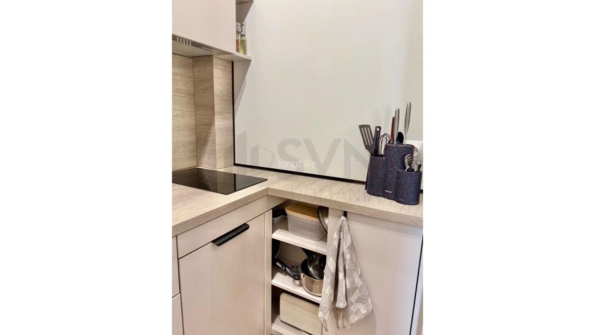REA1024293 Apartament 2 camere Cismigiu I Plevnei - 11