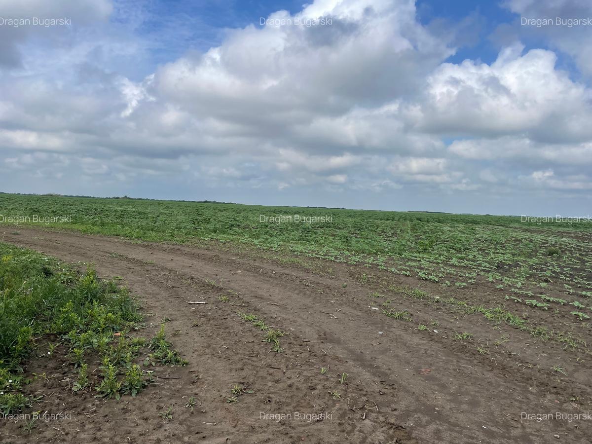 De vanzare 2 Ha la Ianova - 2