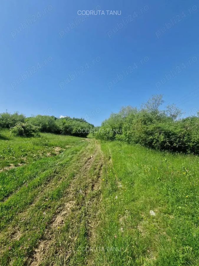 Teren intravilan 3.101 mp, Tarlungeni, Bra?ov ideal pentru casa de vacan?a sau locuin?a permanenta - 9