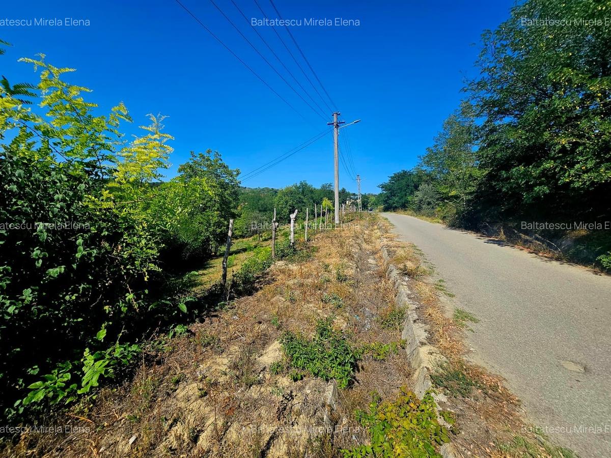Teren intravilan 2322 mp, Păcuri – vedere superbă spre pădure! - 3