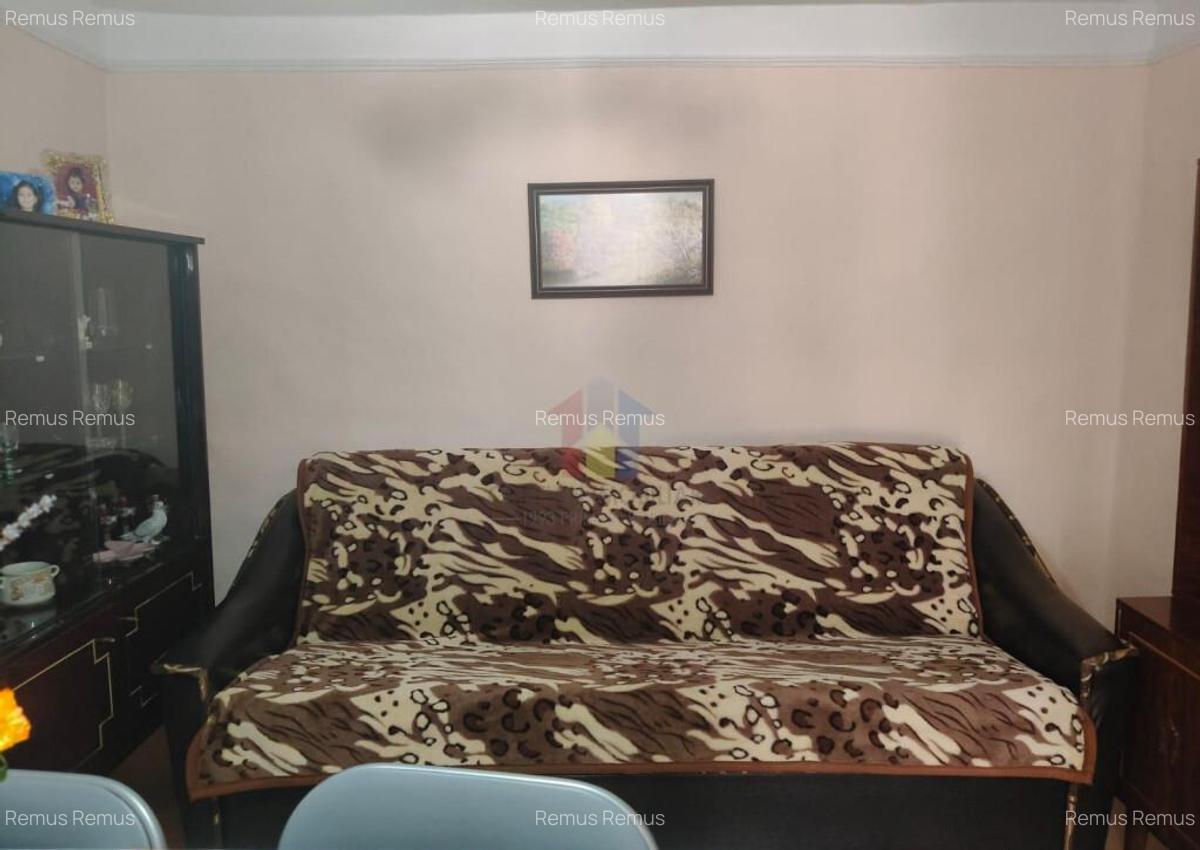 Casa 4 camere, Radu Negru, Teren - 264 mp - 6