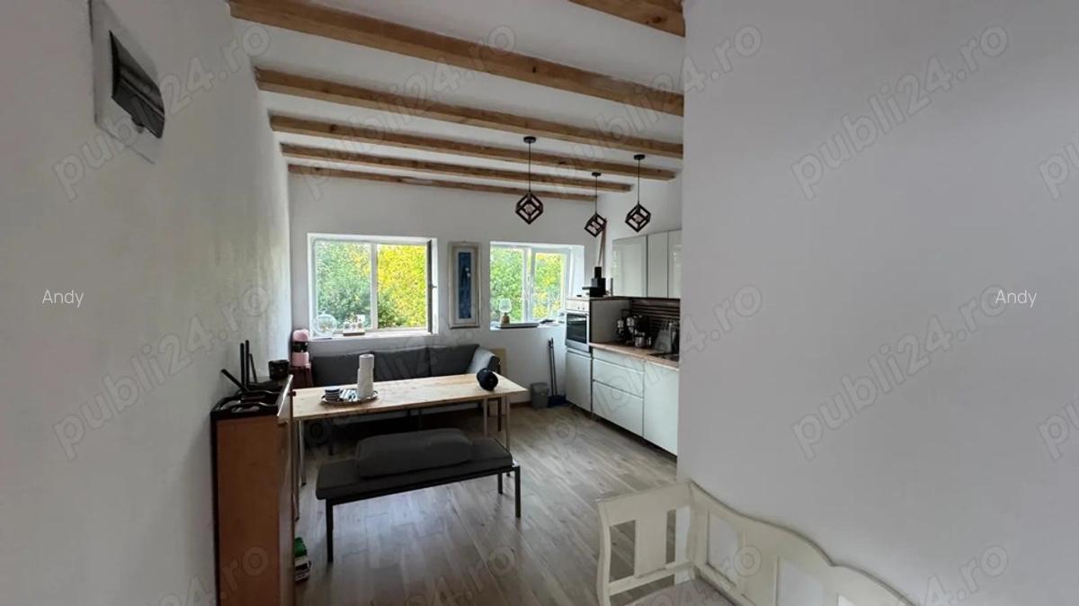 Proprietar vand Casa Sasca Montana - 6