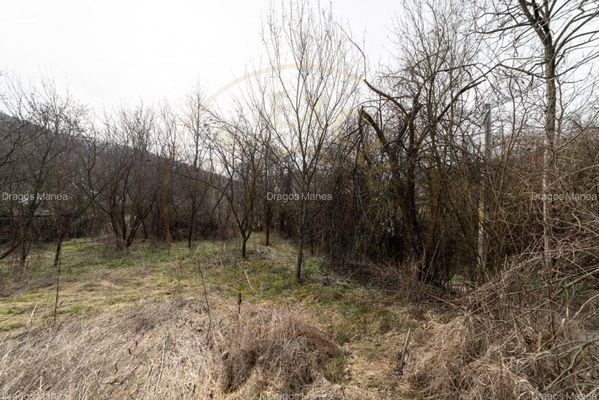 Teren de vanzare - 1221 mp in Budeasa Mica, zona linistita. - 6