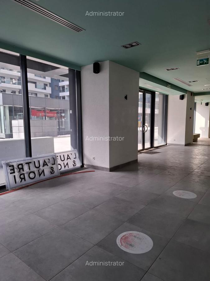 Spatiul comercial, Fabrica de Glucoza, total 316,4 mp (parter+subsol) - 5