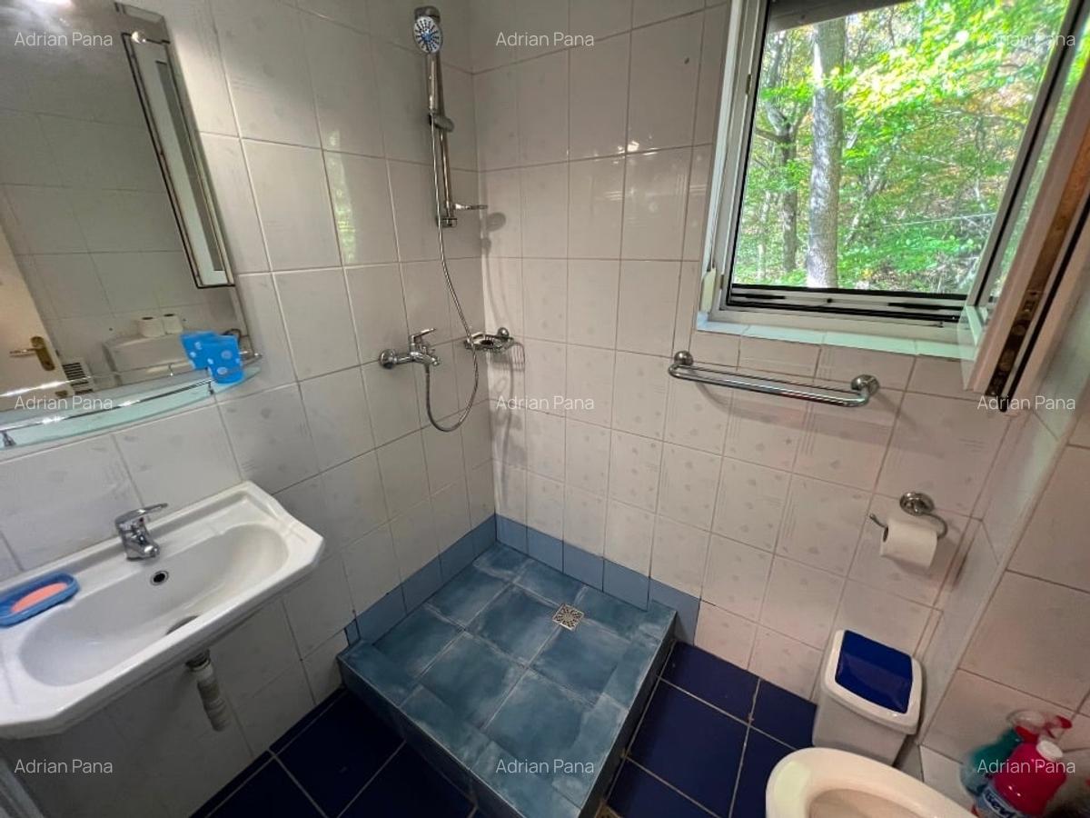 Vila de vanzare langa PITESTI; 3 dormitoare, 2 bai ; complet mobilata si utilata - 6