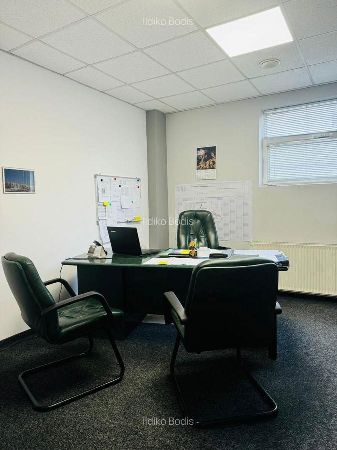 Oportunitate investitionala- hala si cladire in zona semicentrala - 4