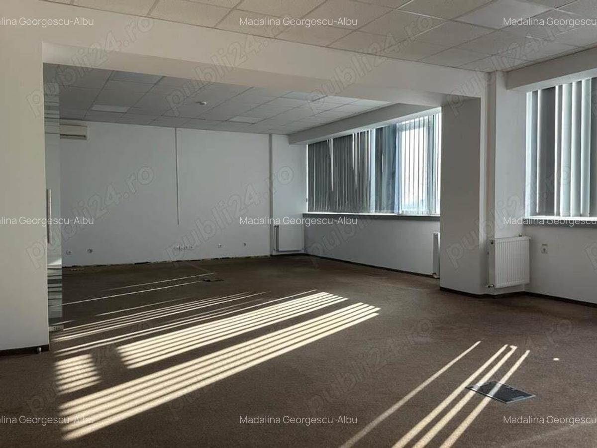 Theodor Pallady stradal birou 410 mp utili LIBER - 9