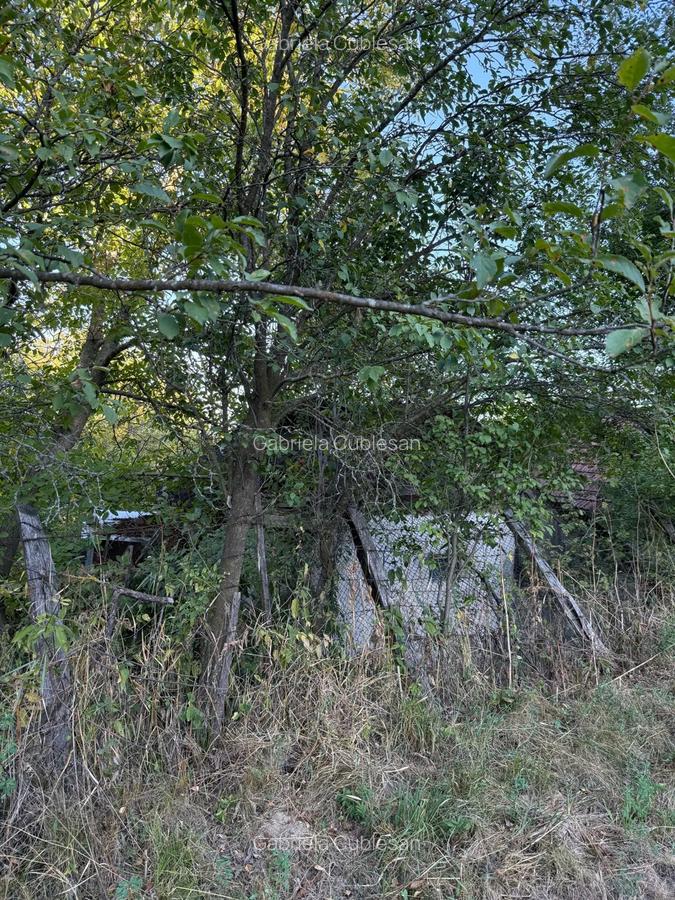 Vand teren 1300 mp inclusiv casa 70mp Racoasa, judetul Vrancea. - 6 Vand teren 1300 mp inclusiv casa 70mp Racoasa, judetul Vrancea. - 6