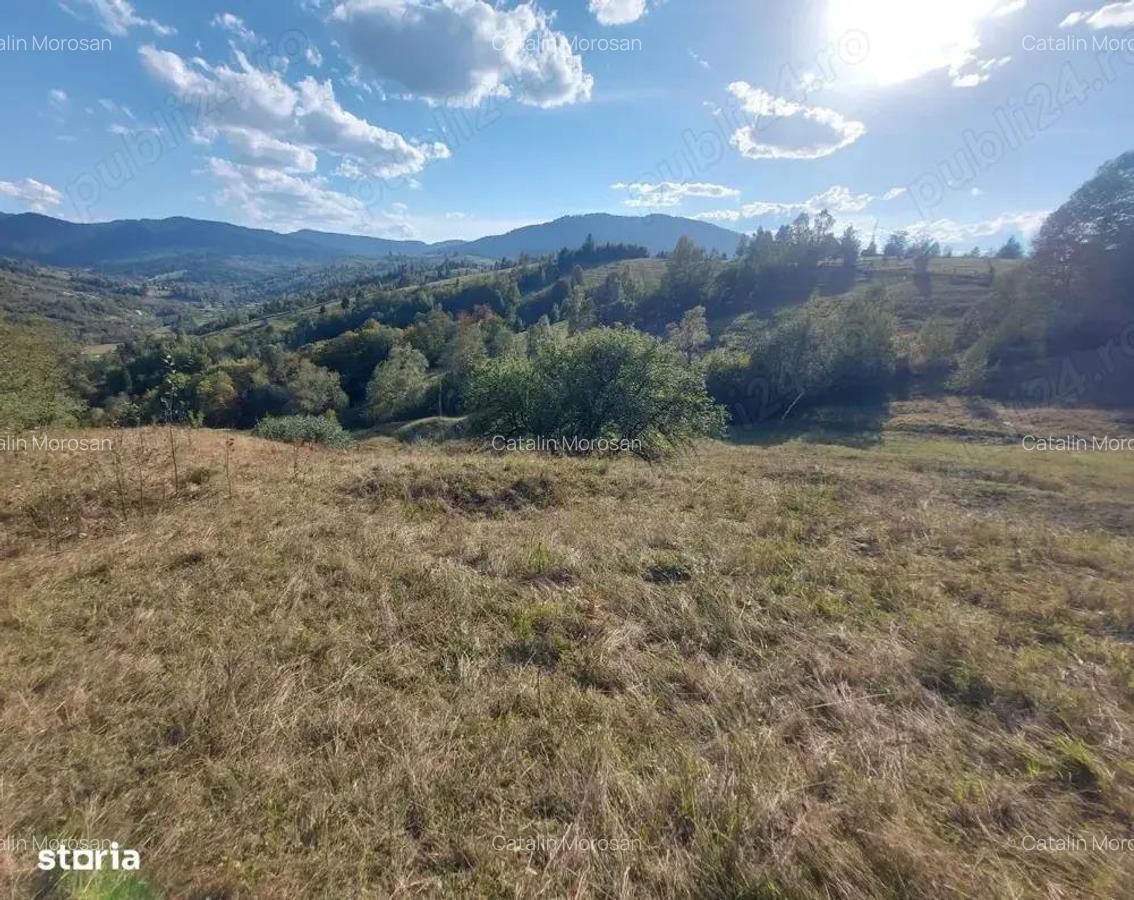 Teren in Bucovina 12399 mp Salatruc - Vama - 4