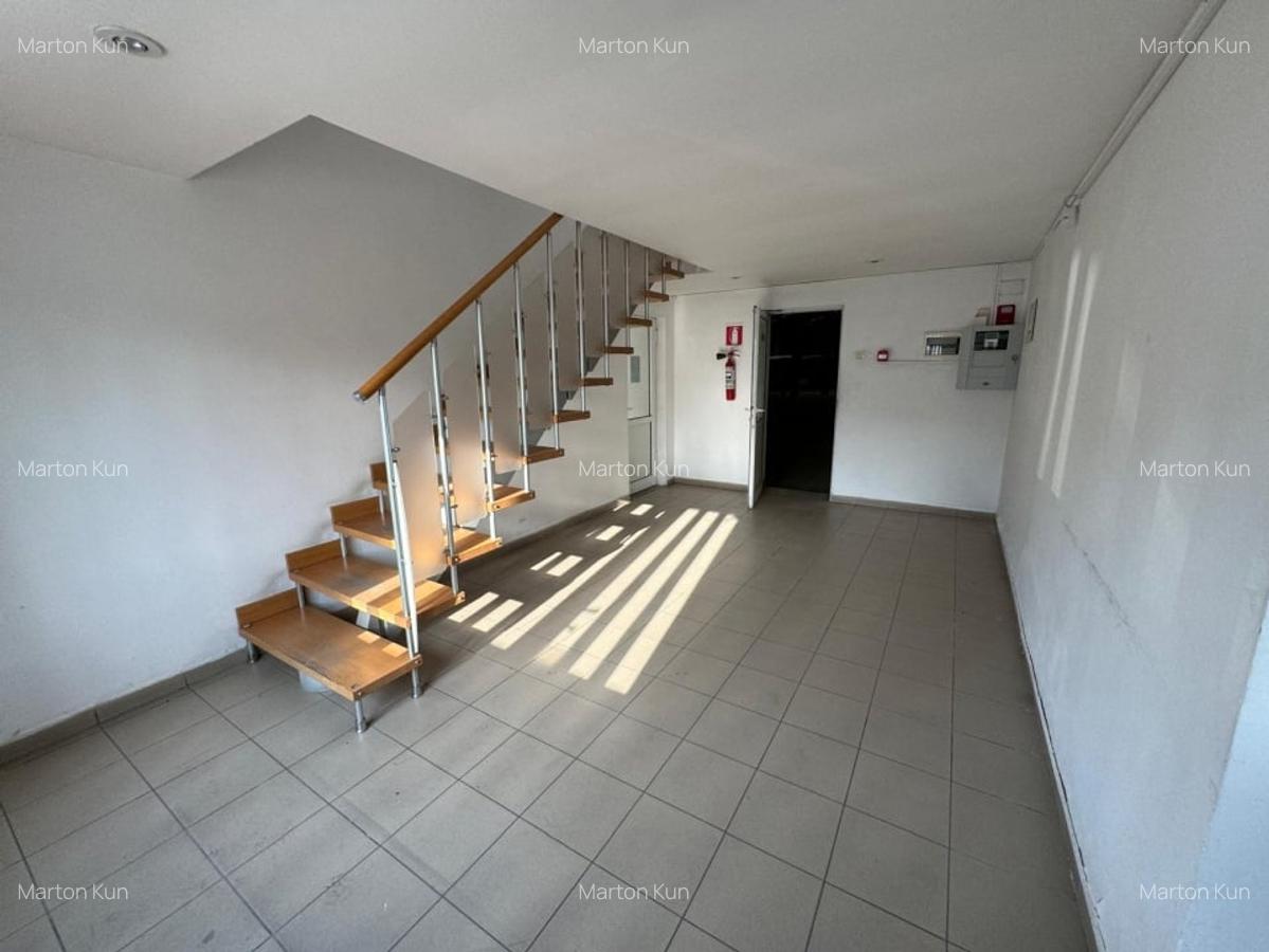 Inchiriere hala de 300 mp., Cluj-Napoca, Dambul Rotund, 4 Eur/mp. - 7