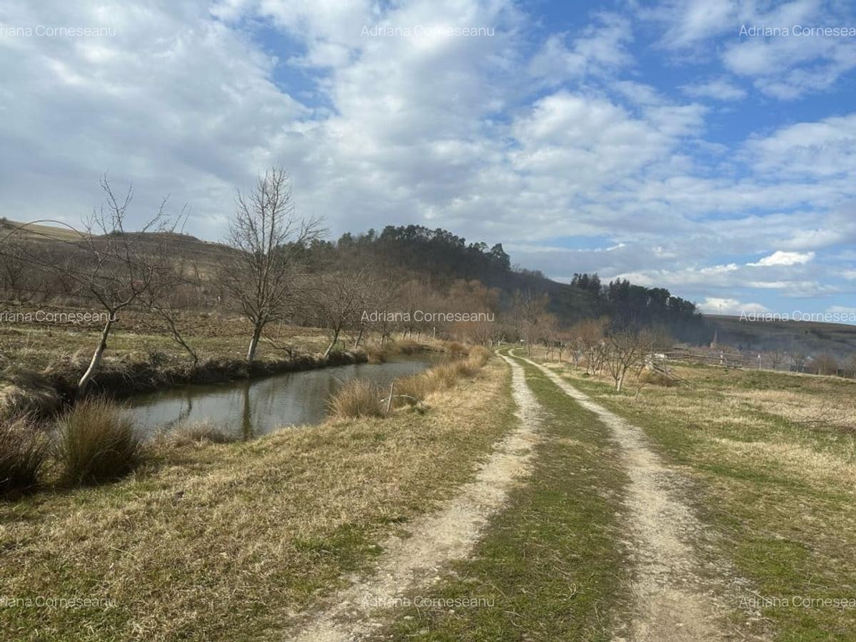 Casa 3 dormitoare, 128mp, 4750mp teren, piscina, cuptor de paine , Casolt - 20