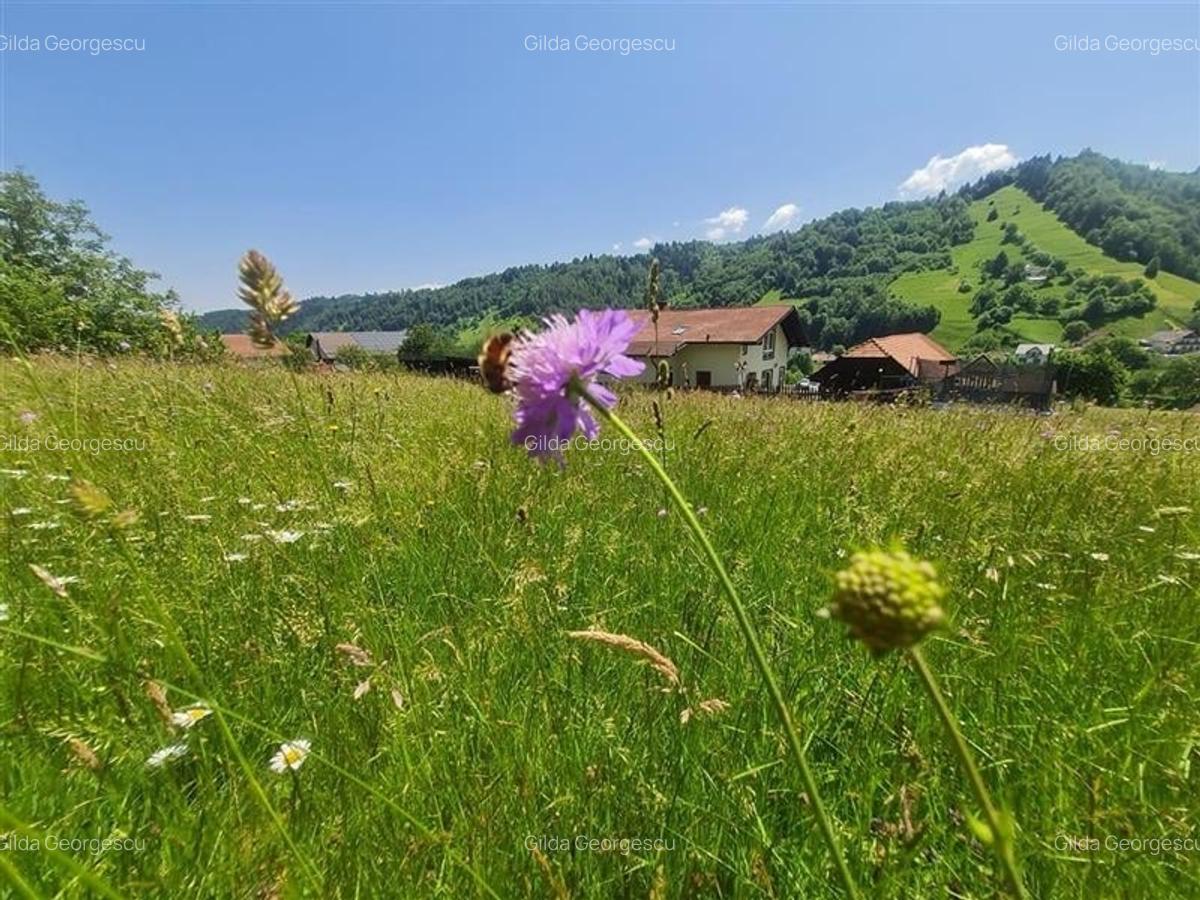 Teren de 1.450 mp, cu priveliste de carte postala, Bran, Moieciu, Brasov - 15