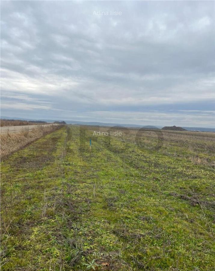 RECO Teren intravilan cu PUZ in Osorhei - 3