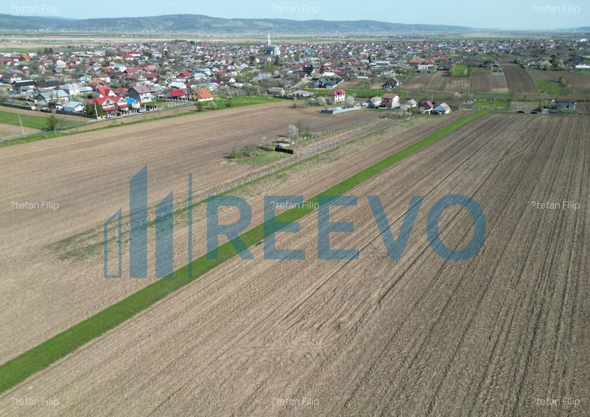 Teren de vanzare, Com. Nicolae Balcescu, Jud. Bacau - 11 Teren de vanzare, Com. Nicolae Balcescu, Jud. Bacau - 11