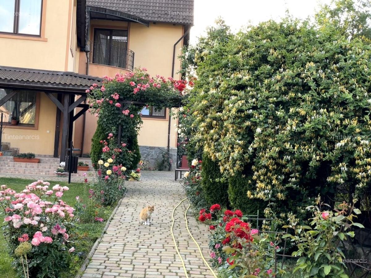 Casa Cristian direct proprietar. - 10