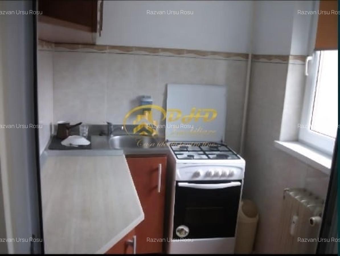 Apartament cu o camera Podu Ros - 4