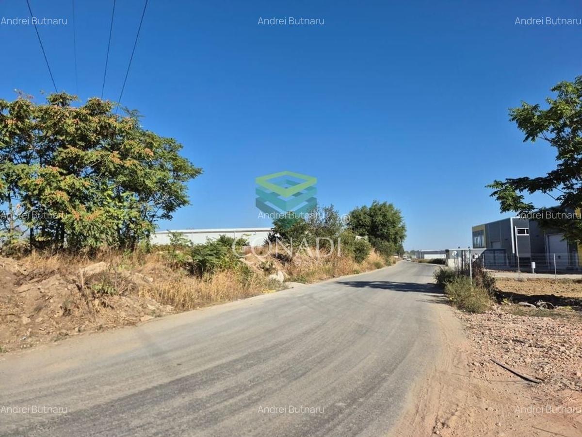 Teren Cernica - Oxigenului -  6.835 mp - 1